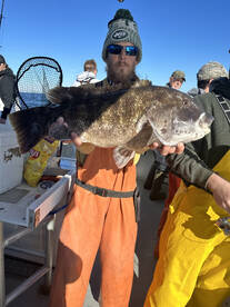 2023 April Blackfish / Tog