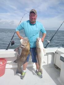 Redfish and black drum