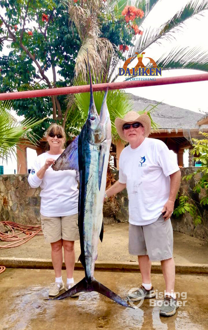 San Jose del Cabo Report Photo 0