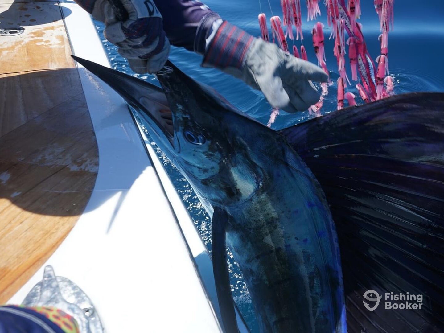 Herradura Report Photo 0