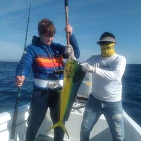 San Jose del Cabo Report Photo 2