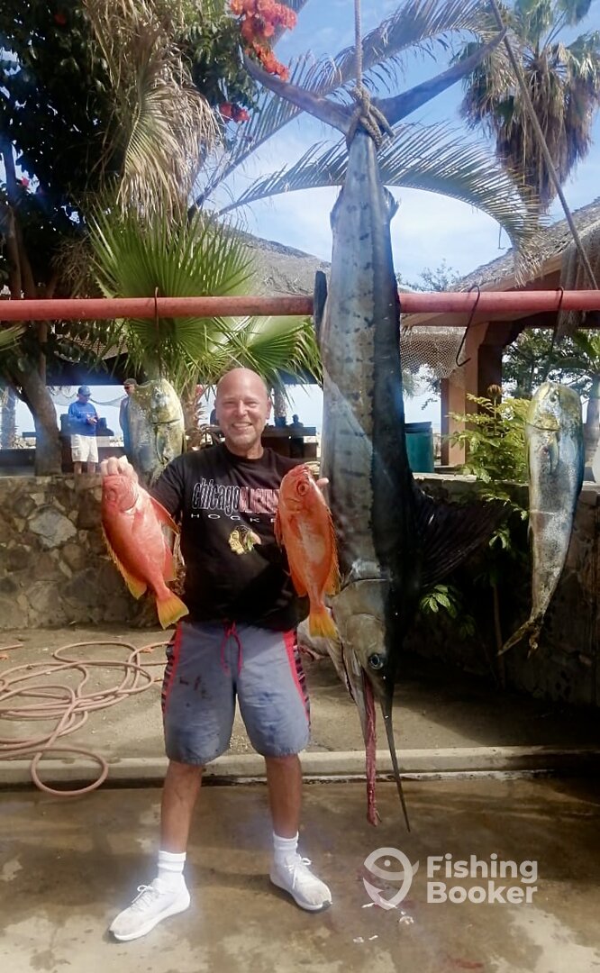 San Jose del Cabo Report Photo 0