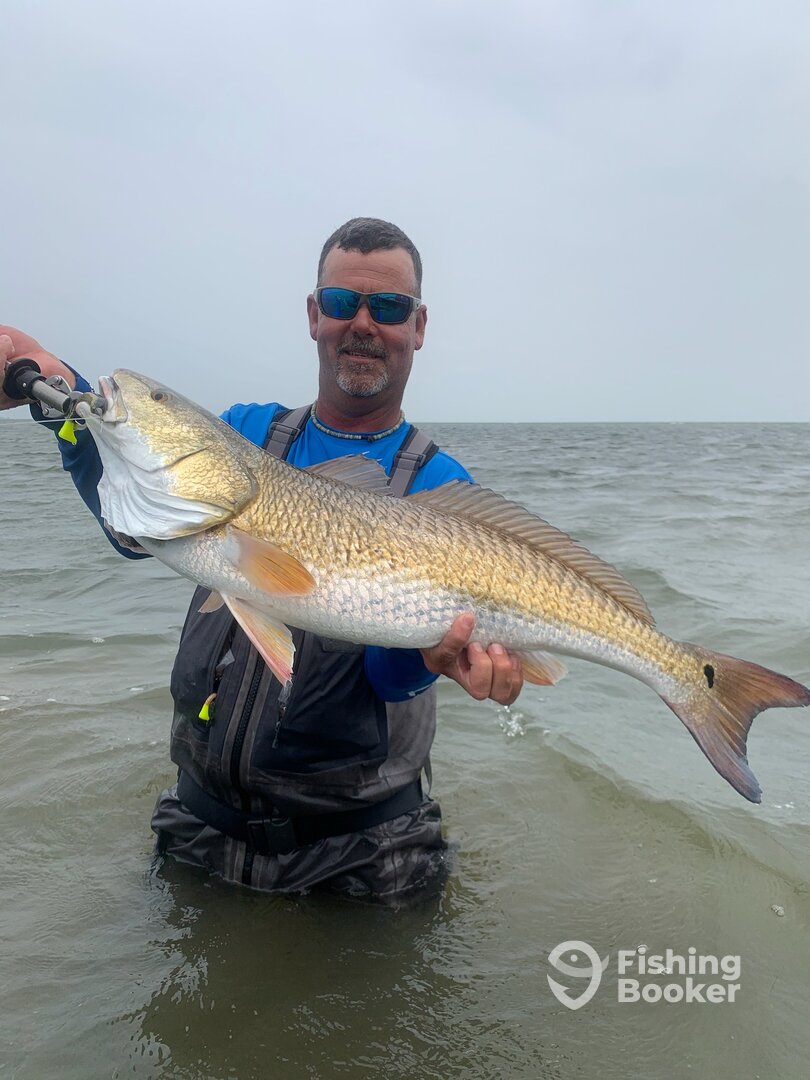 Port Aransas Report Photo 0