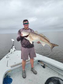 Sight casting bull redfish