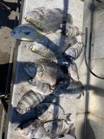 Port Canaveral Report Photo 2