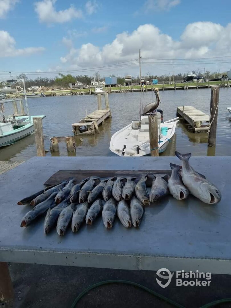 Lafitte Report Photo 0