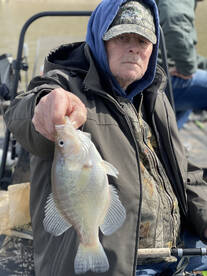 Winter crappie are hungry