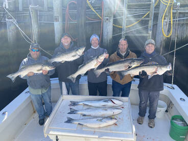 Highlands Report Photo 1