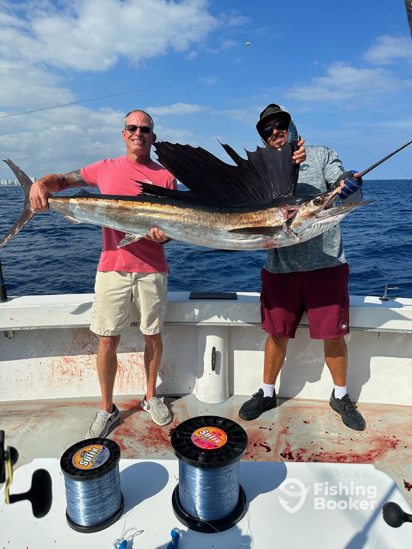 Dania Beach Report Photo 0