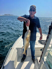 Destin Report Photo 2