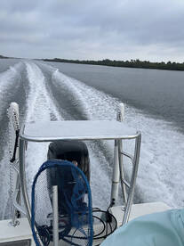 Edgewater Report Photo 1