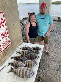 Counting Sheepshead