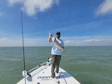 Corpus Christi Report Photo 1