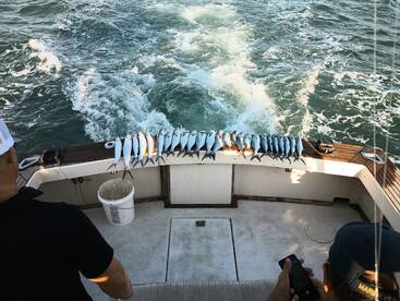 Port Canaveral Report Photo 2