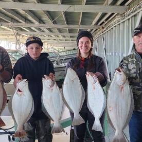 The halibut are here !! 