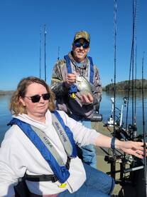 Harrison Report Photo 2