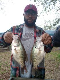 Emory Report Photo 1