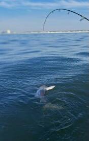 Panama City Beach Report Photo 1