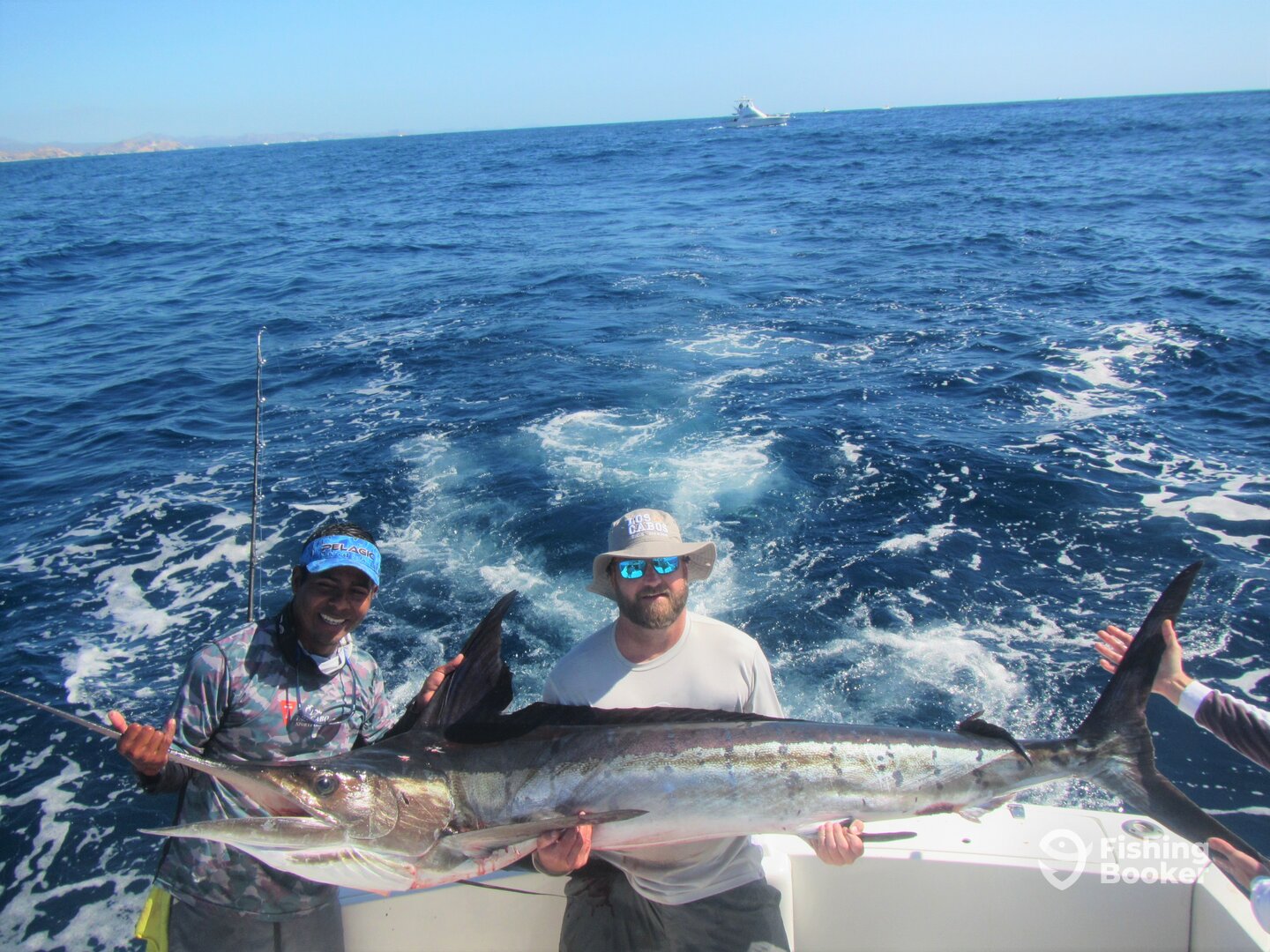 Cabo San Lucas Report Photo 0