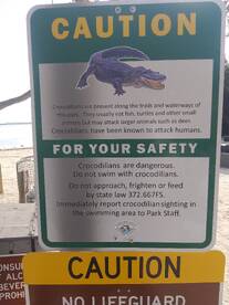 Chincoteague Report Photo 1