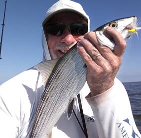 Chincoteague Report Photo 2