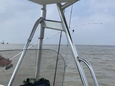 Mandeville Report Photo 2