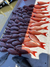 My crew from michigan killed it today