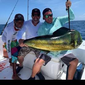 Dorados. Mahi Mahi, May to November 