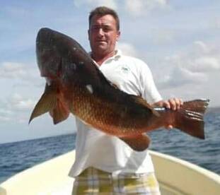 Snappers, gropers, cabrias, All year