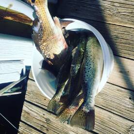 Holiday Report Photo 2