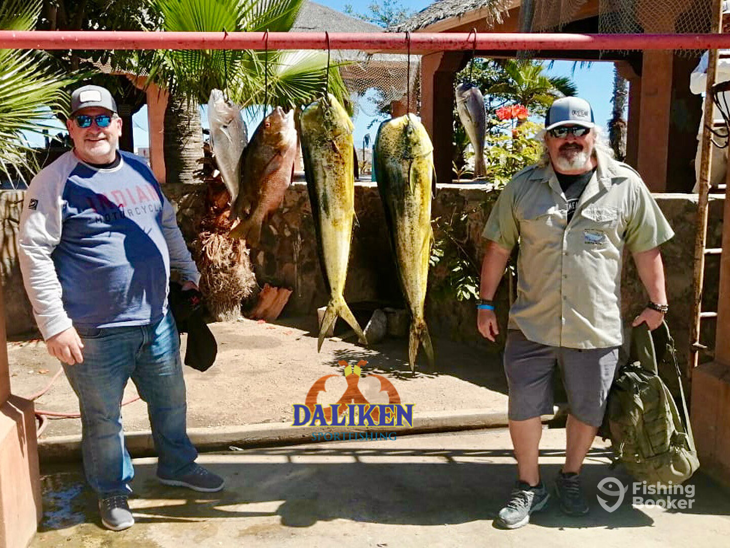 San Jose del Cabo Report Photo 0