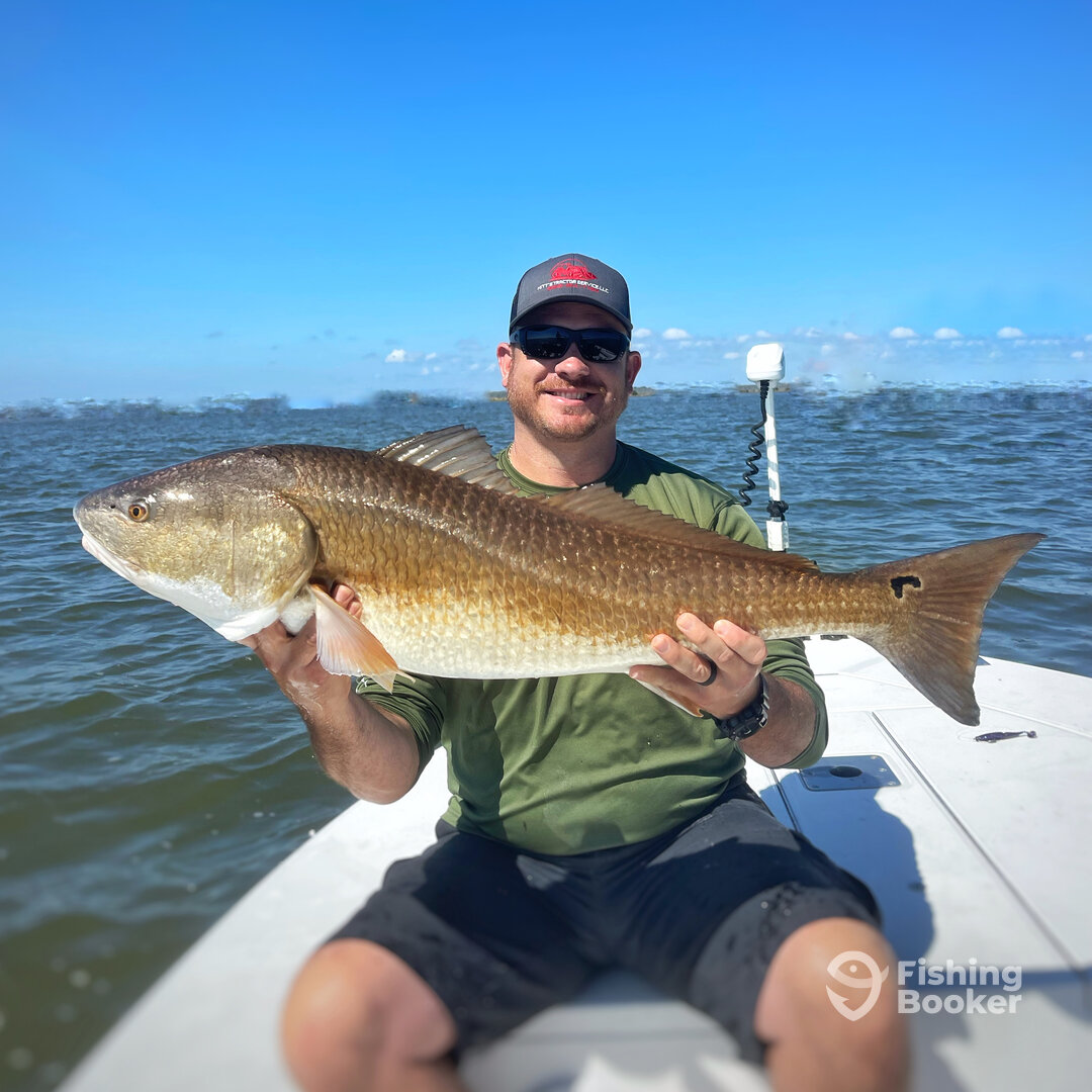 Cedar Key Report Photo 0
