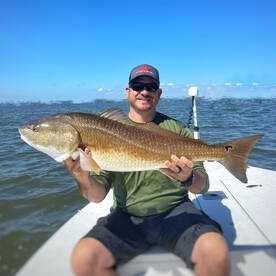 Big spring reds