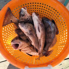 The bite has been good. It will only get