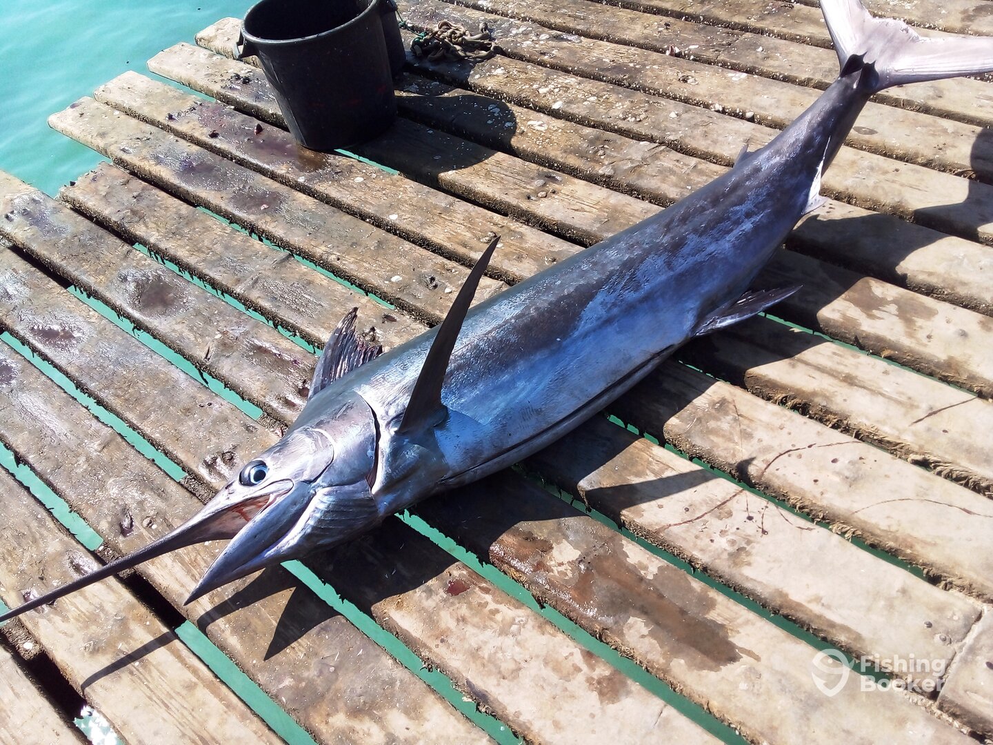 Santa Maria Report Photo 0