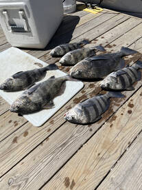 Carolina Beach Report Photo 1