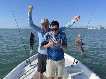 Tripletail,snapper,sheepshead