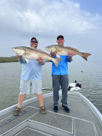 Bull Reds!!!