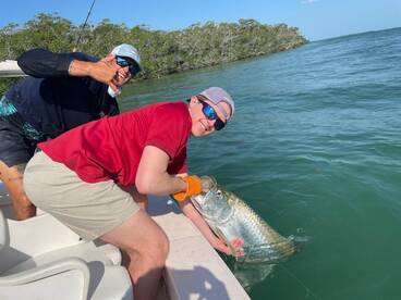 Big tarpon showing up!