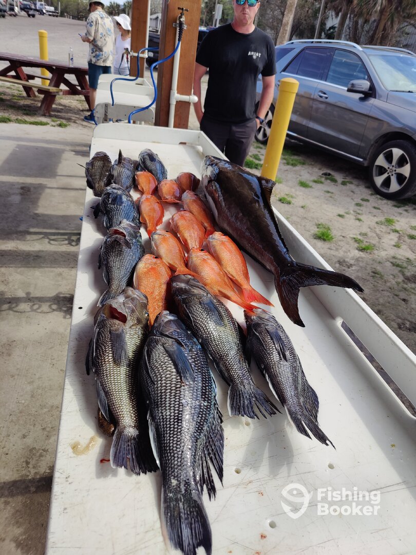 Jacksonville Report Photo 0