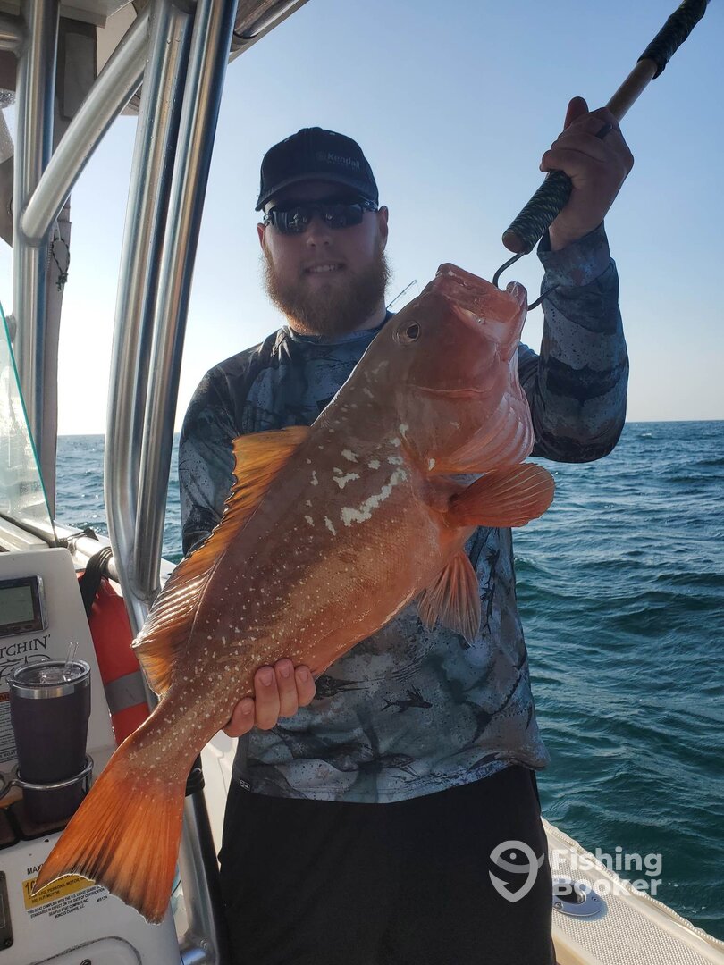 Carrabelle Report Photo 0