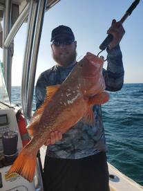 Red Grouper is in season!