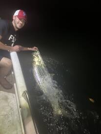 Spring Break Tarpon Heating Up! 