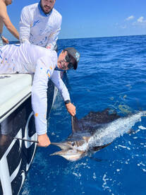 Islamorada Report Photo 1