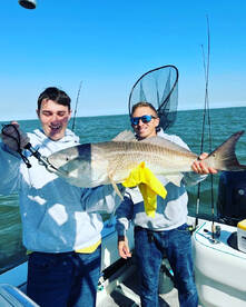 Early spring bull red!  
