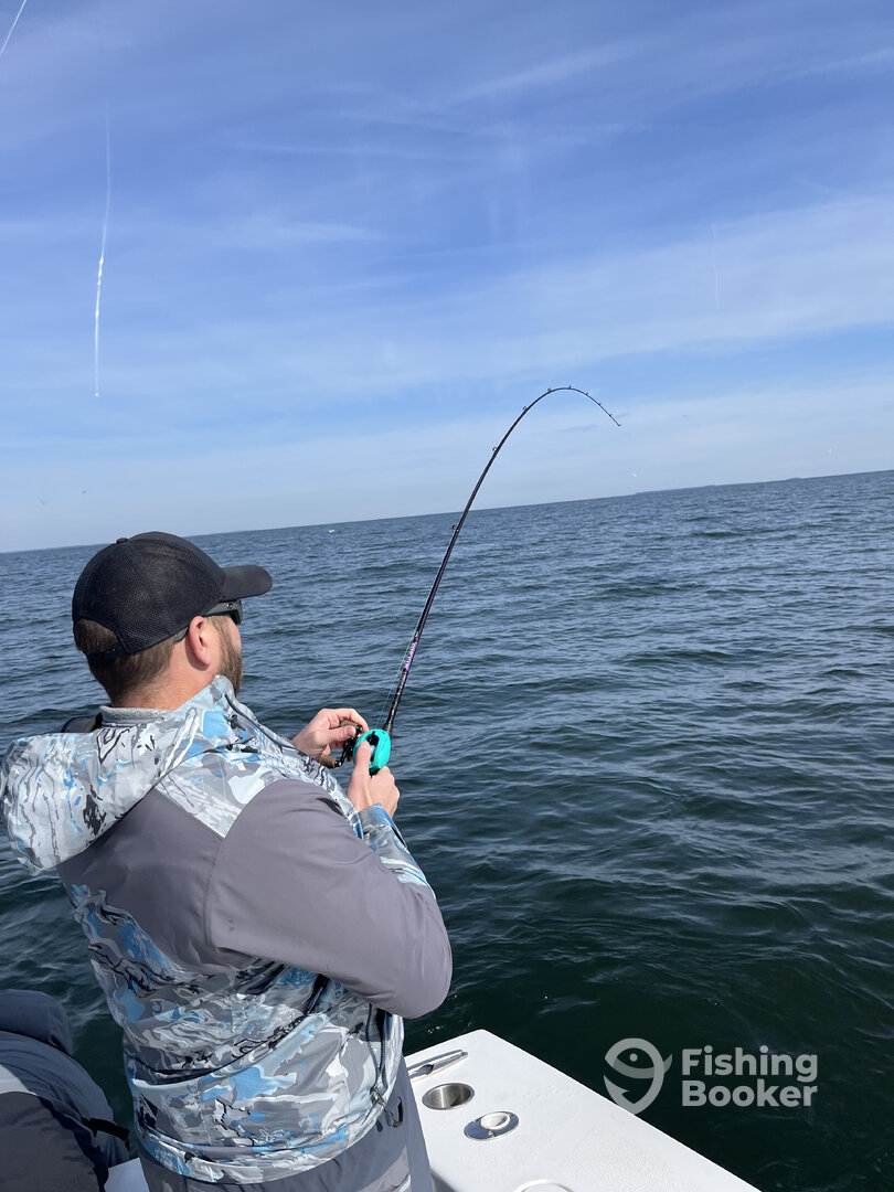Chesapeake Beach Report Photo 0