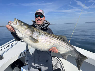 Chesapeake Beach Report Photo 2