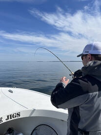 Chesapeake Beach Report Photo 1