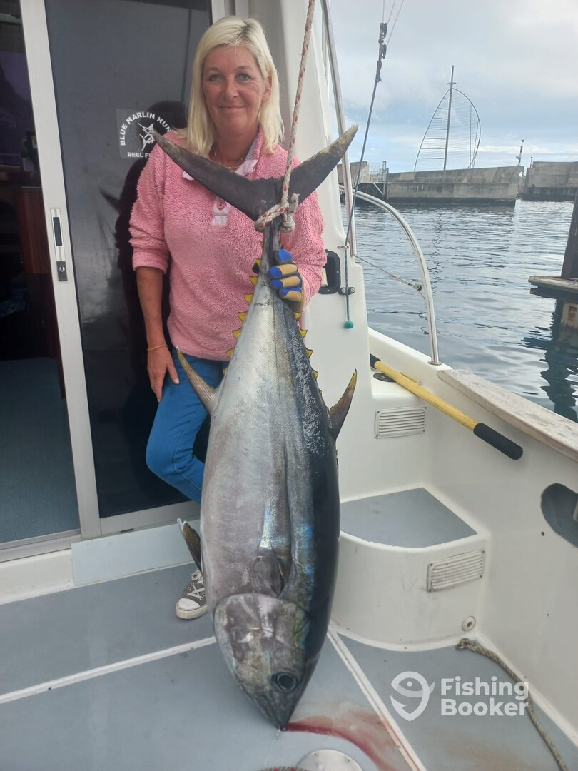 Calheta Report Photo 0