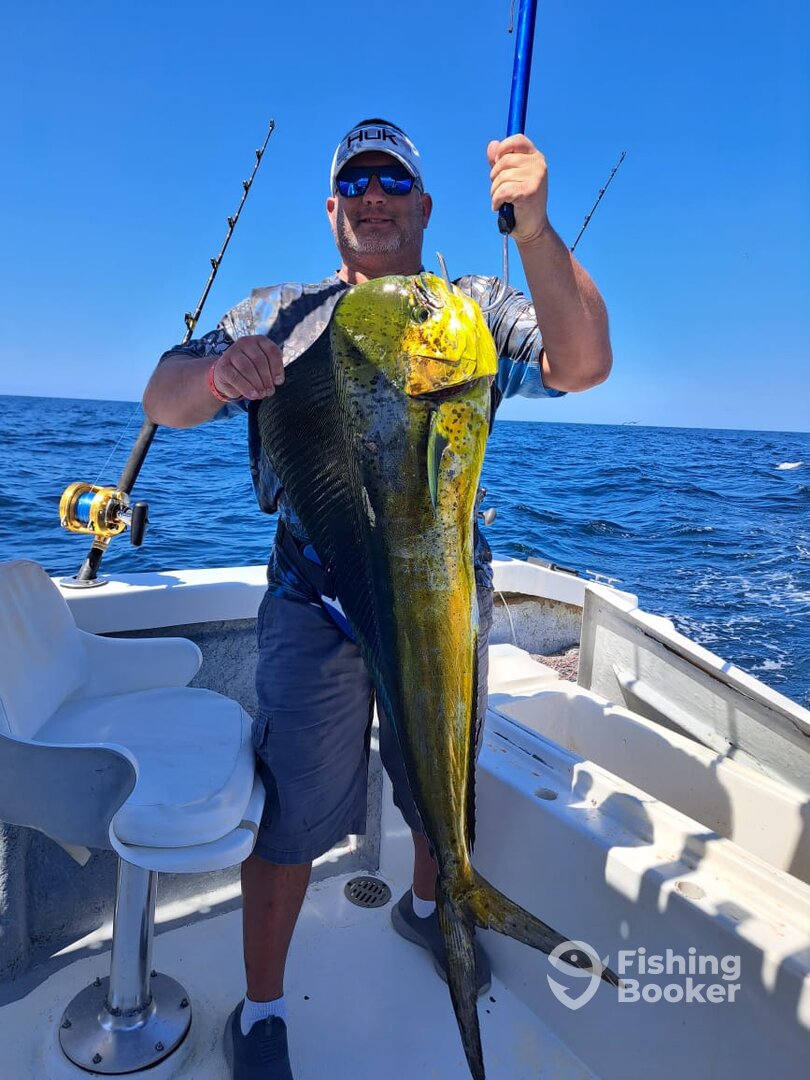 Puerto Vallarta Report Photo 0